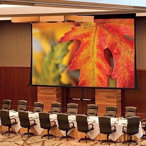 Draper 114618 Paragon, Electric Projection Screen, 307\\"