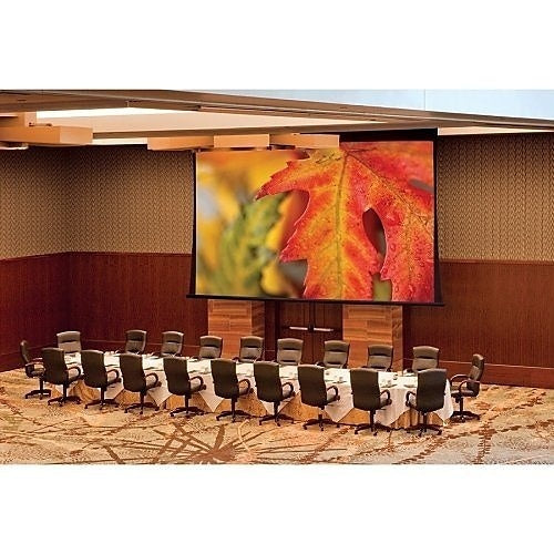 Draper 114618 Paragon, Electric Projection Screen, 307\\"