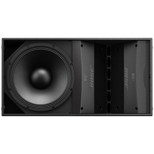 Bose Professional AM10/ 100 ArenaMatch Outdoor Loudspeaker 100x10, DeltaQ Sound, Black
