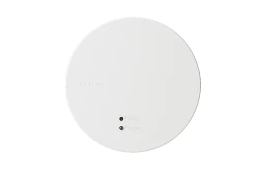 Lutron RR-PROC3-KIT RadioRA All-in-One Processor, Includes PoE Injector, Shelf Mount, 6' (1.8m) Ethernet Cable