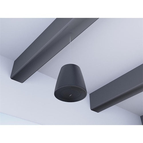 Bose Professional 835265-0120 DesignMax DM10P-SUB 10\\" Pendant Subwoofer, Indoor, 300W, Black