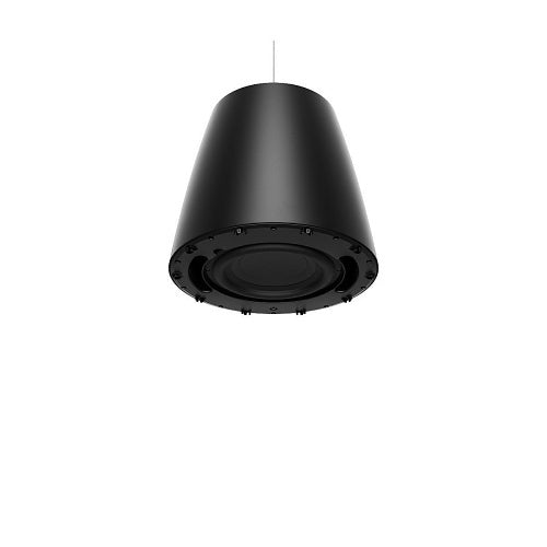Bose Professional 835265-0120 DesignMax DM10P-SUB 10\\" Pendant Subwoofer, Indoor, 300W, Black