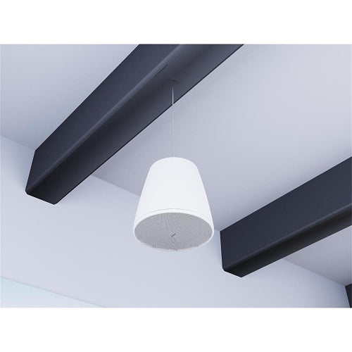 Bose Professional 835265-0220 DesignMax DM10P-SUB 10" Pendant Subwoofer, Indoor, 300W, White