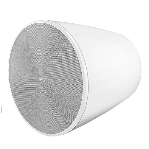 Bose Professional 835265-0220 DesignMax DM10P-SUB 10\\" Pendant Subwoofer, Indoor, 300W, White