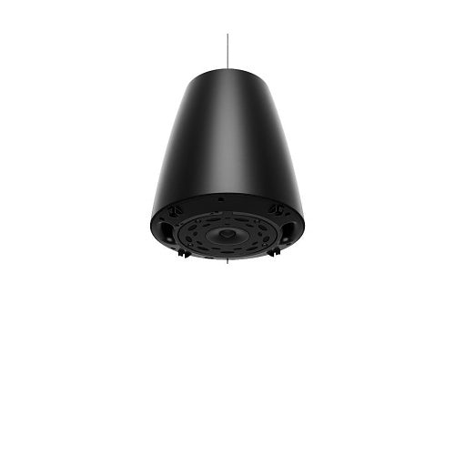 Bose Professional 841166-0120 DesignMax DM5P Loudspeakers, 1-Pair, Black
