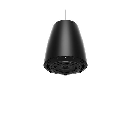 Bose Professional 841168-0120 DesignMax DM6P Loudspeakers, 1-Pair, Black