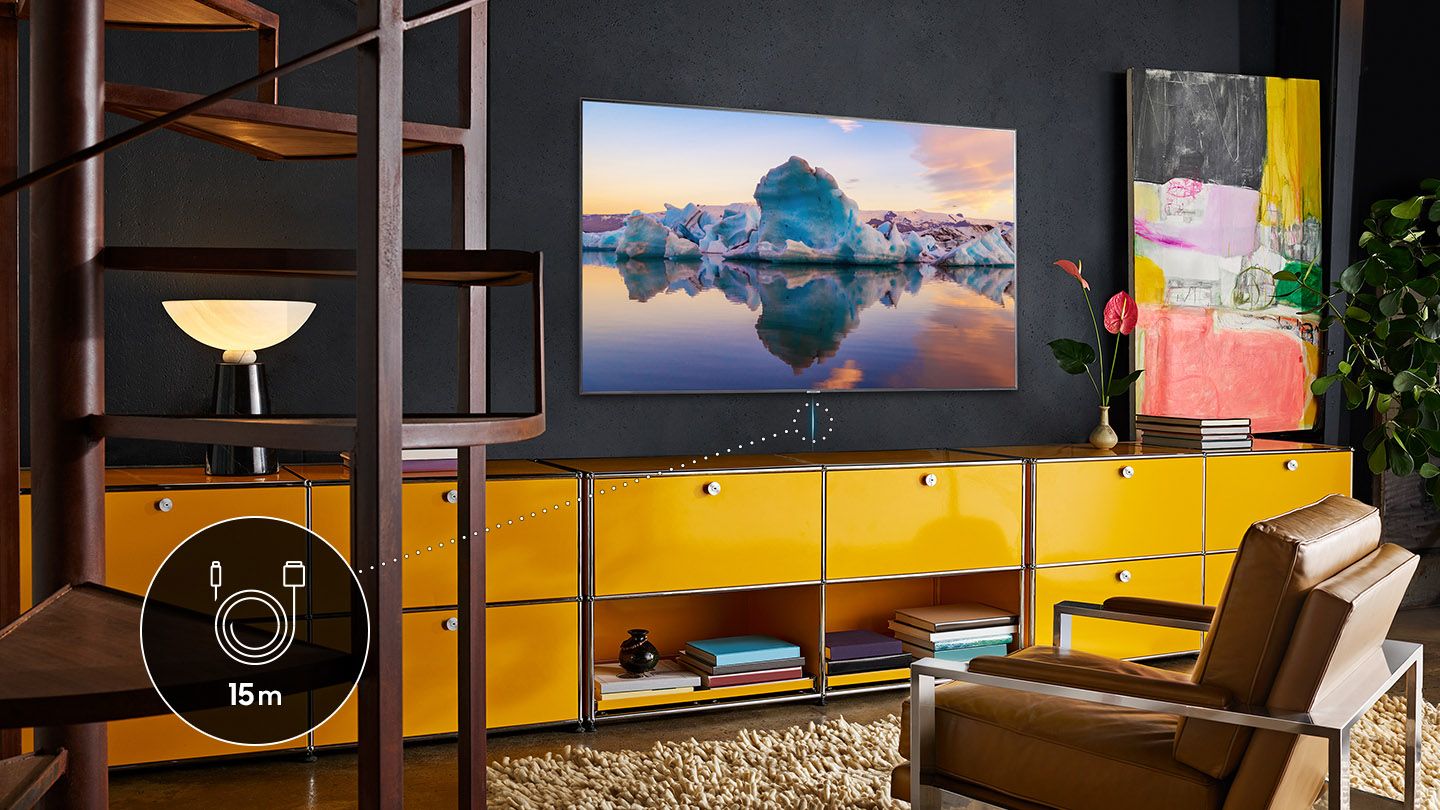 One Connect Cable 15M 2019-2024