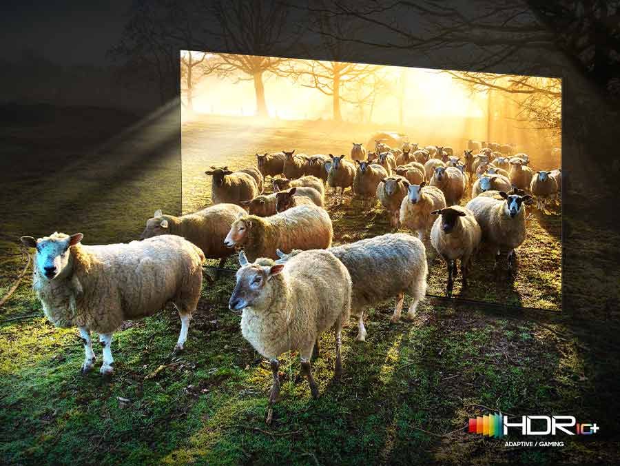 65in QN900 series Neo QLED 8K TV with OneConnect Box -2023