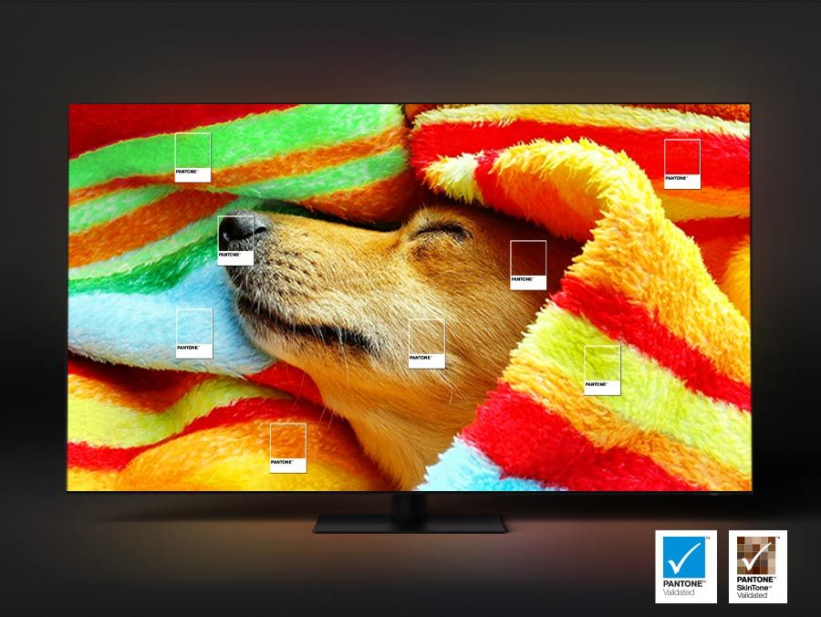 65in QN900 series Neo QLED 8K TV with OneConnect Box -2023