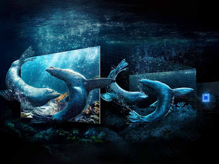 75in QN900 series Neo QLED 8K TV  with OneConnect Box - 2024