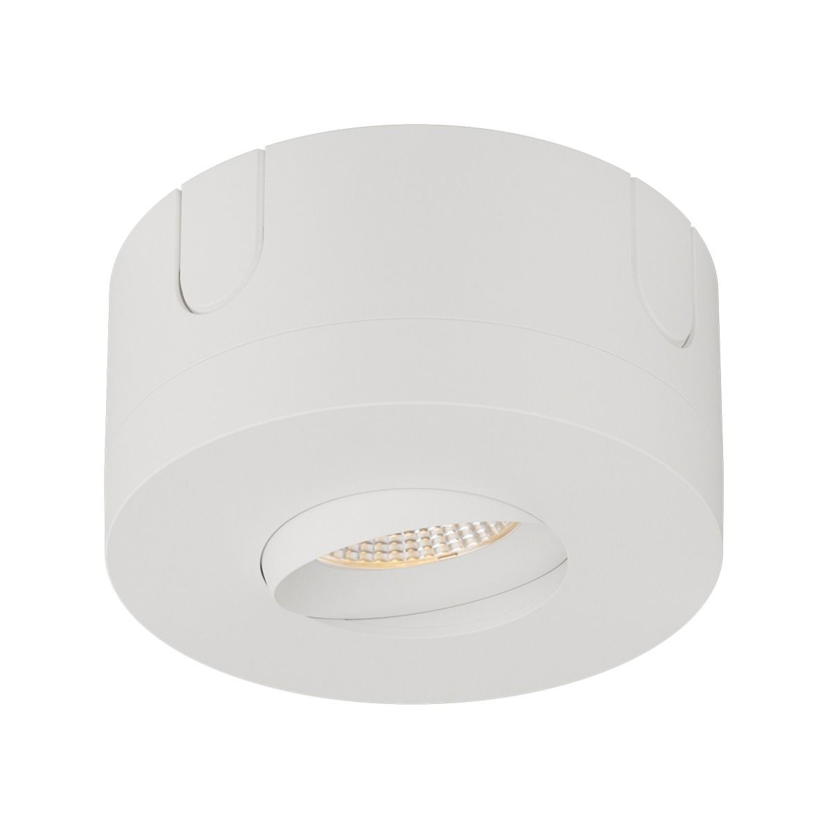 LUNA MULTI - 4in Gimbal, WH Surface Mnt, 900Lum, 10W, ColSel