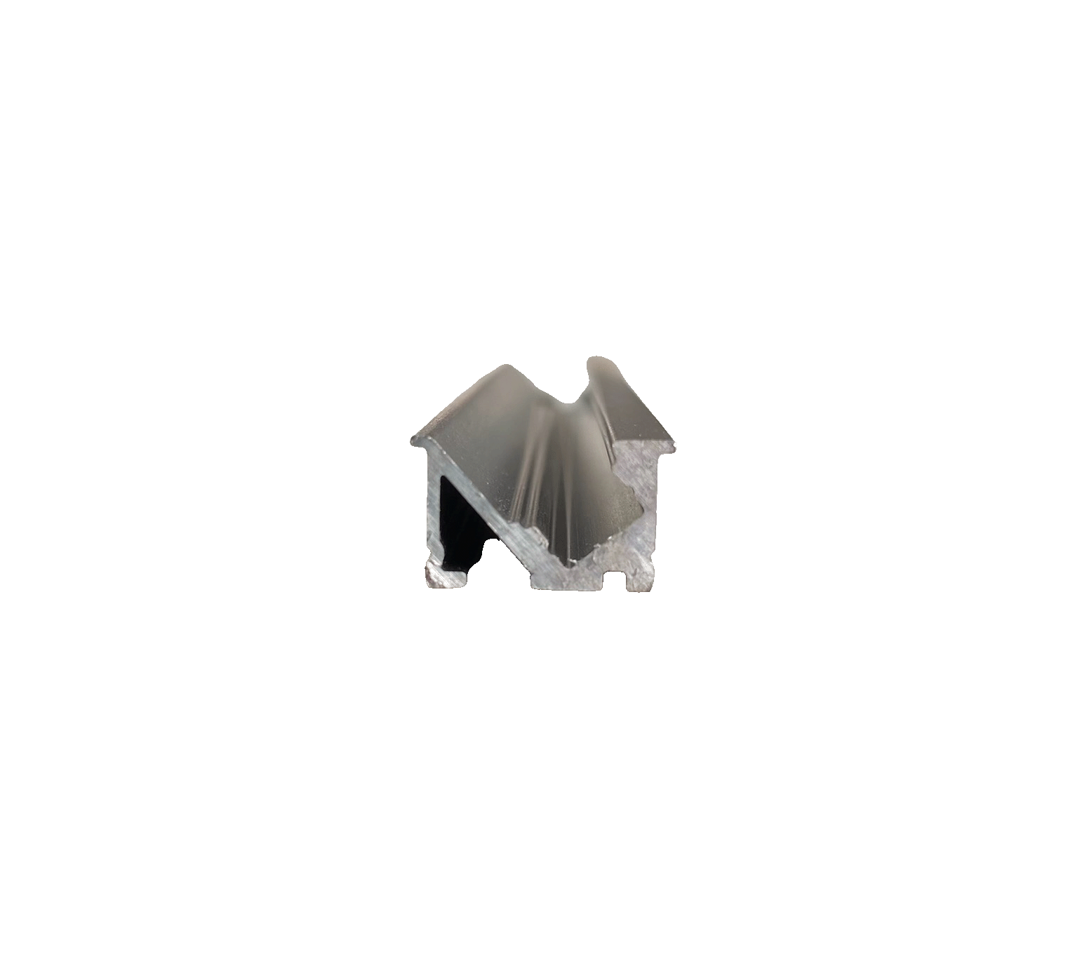 CAPS562