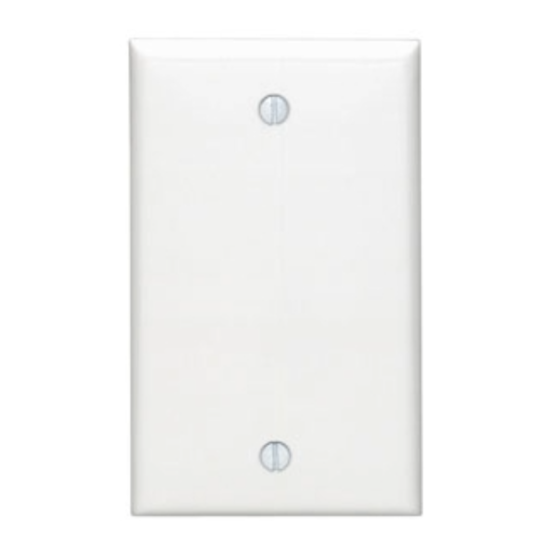 LT- WHITE PLATE