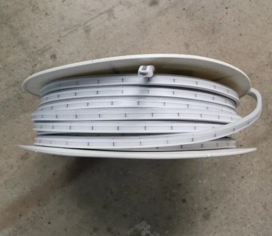 NEON STRIP 6*12 12V CW /M