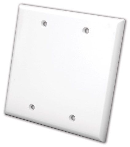 Blank Wall Plates- Dual & White