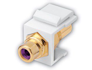 RCA Keystone Inserts- Insert: White & Insulator : Violet