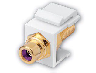 RCA to F Female Keystone Inserts- Insert: White, Ring: Viole
