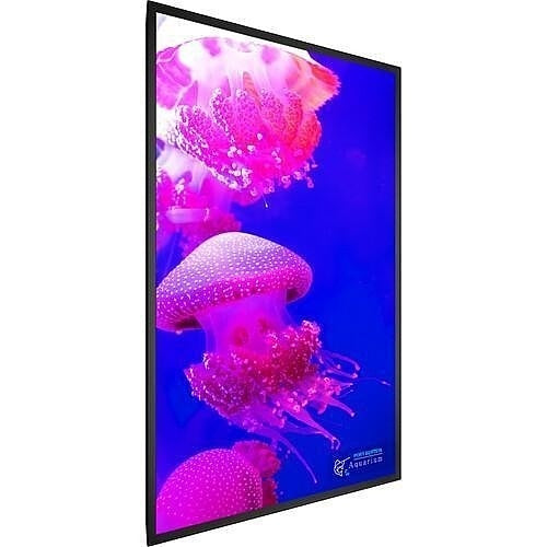 Planar 998-3170-00 Digital Signage Display
