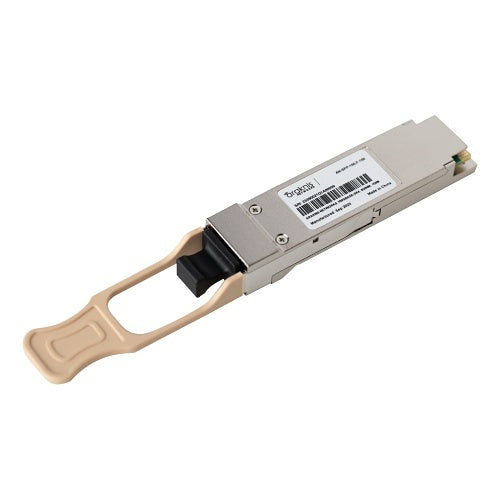 Image of V6-ANSFP10F1