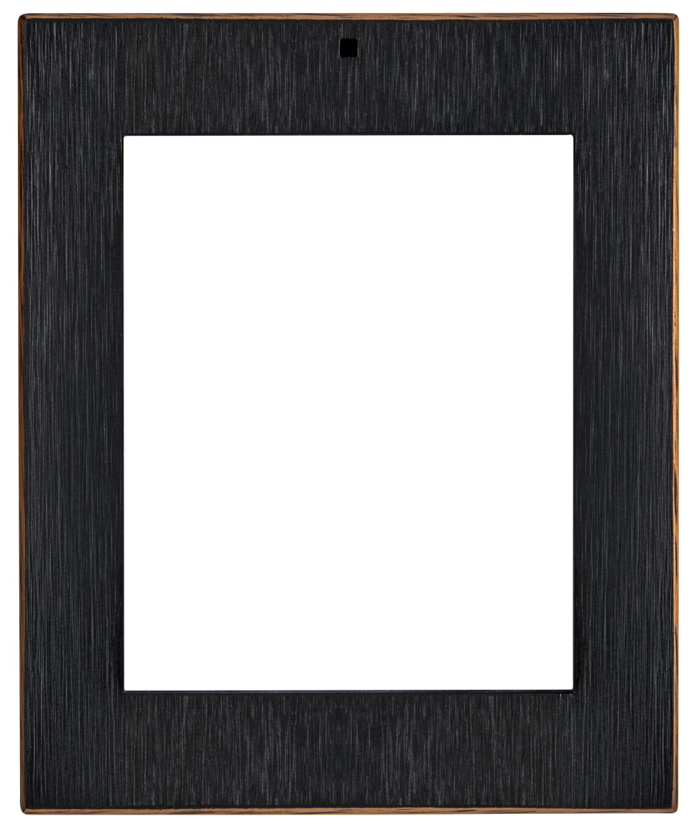 Control4® DS2 Mini, Surface Plate (Venetian Bronze)