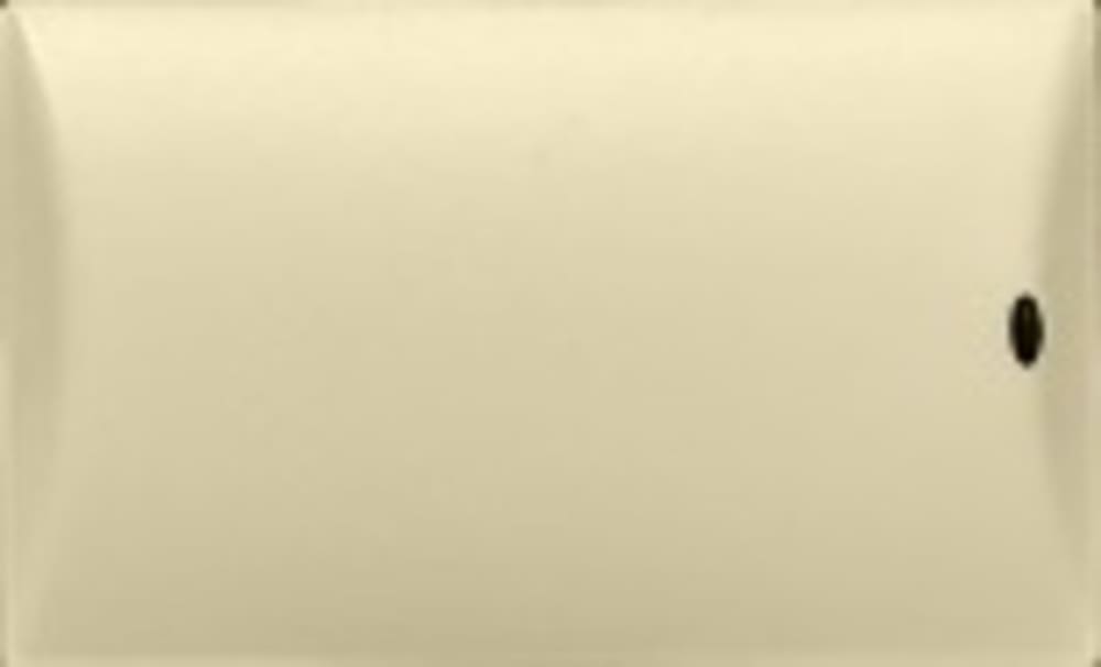 Control4® Engraved Button, Decora Double High (Ivory)