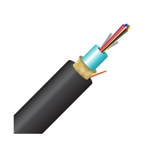 Image of CC-12DJMD50125OM3R