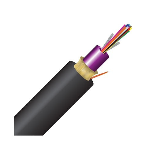 Image of CC-12DJMD50125OM4R