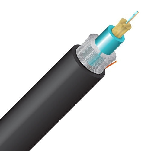 Image of CC-2RM25OM3R