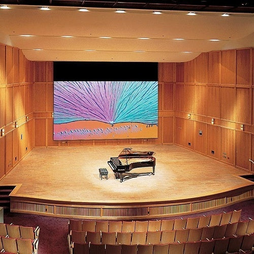 Draper 114228 278\\" Paragon Electric Projection Screen,16:10, Matt White XT1000E