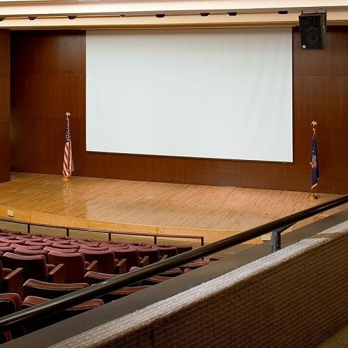 Draper 114228 278\\" Paragon Electric Projection Screen,16:10, Matt White XT1000E