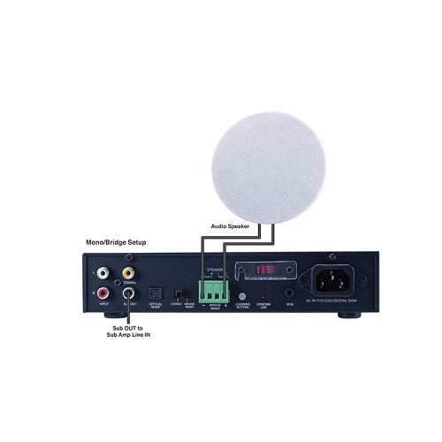 Beale Street BA2101 2-Channel Amplifier, 300W Bridged