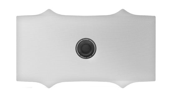 DIANA CENTER (Silver/Silver)