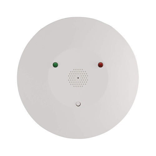 Image of GG-2GIGGB100345