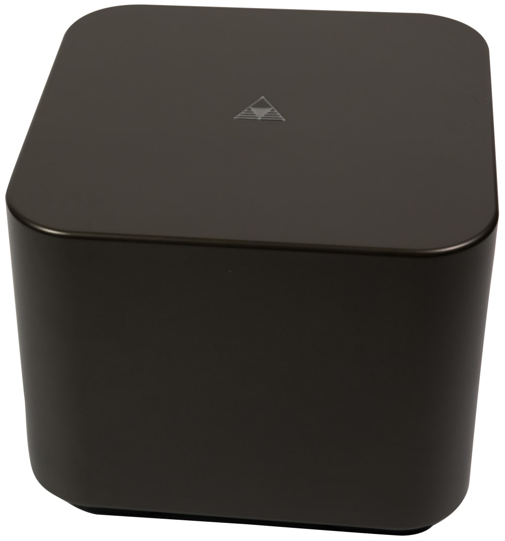 Triad Garden Array 10 Subwoofer