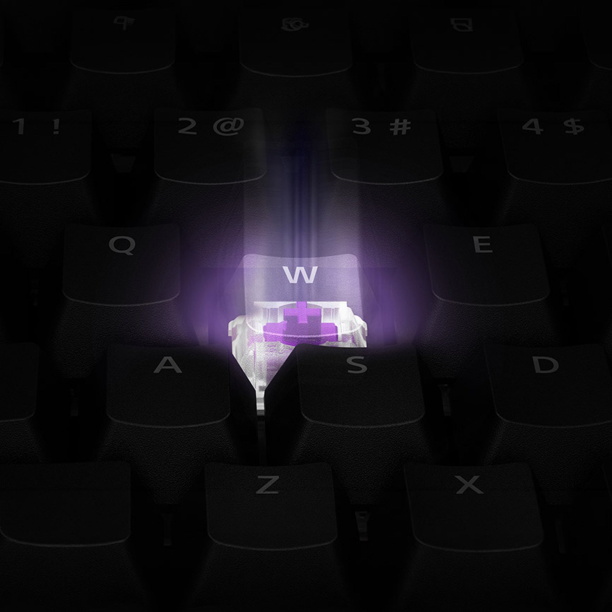Sony MSEG500D INZONE Mouse A Fnatic Wireless Mouse
