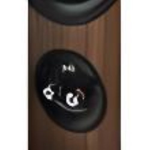 Polk 300033-14-00-005 Reserve R500 Tower Speaker, Brown