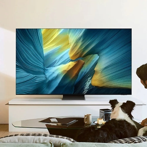 Samsung QN55S95FAFXZC 55\\" S95F SeriesOLED  4K Vision AI Smart TV