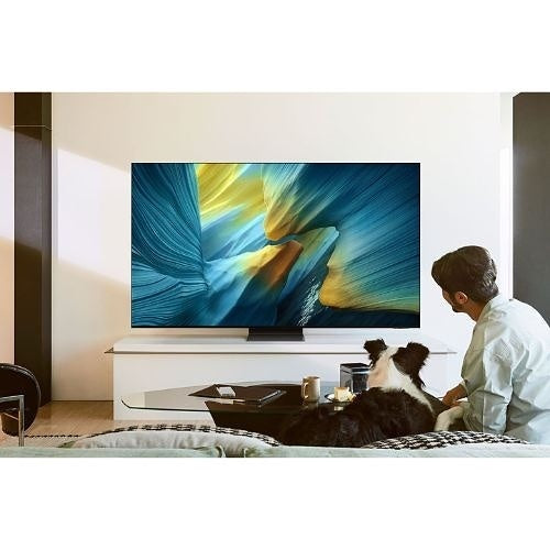 Samsung QN65S95FAFXZA 65\\" S95F Series Class OLED S95F TV