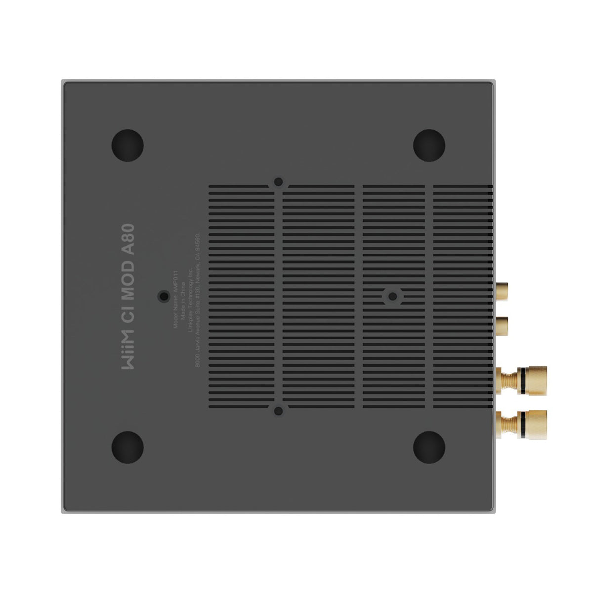 WiiM CI Mod A80 CI Streaming Amplifier