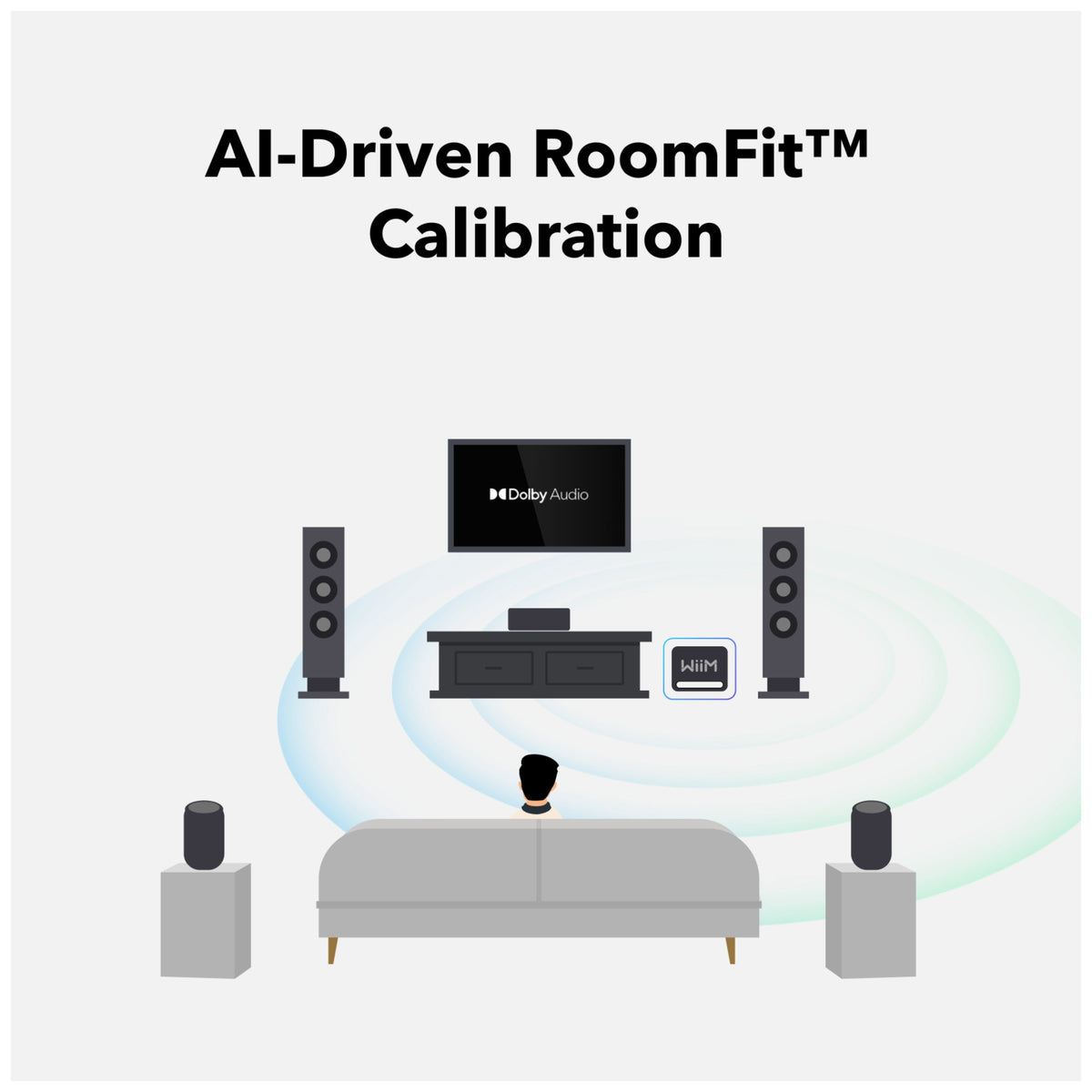 WiiM Sub Pro 8\\" Wireless Subwoofer for WiiM Ecosystem with Optional RCA Line Input