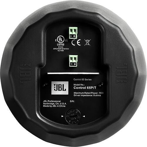 BSS C60PS/T-WH Pendant Speaker, White