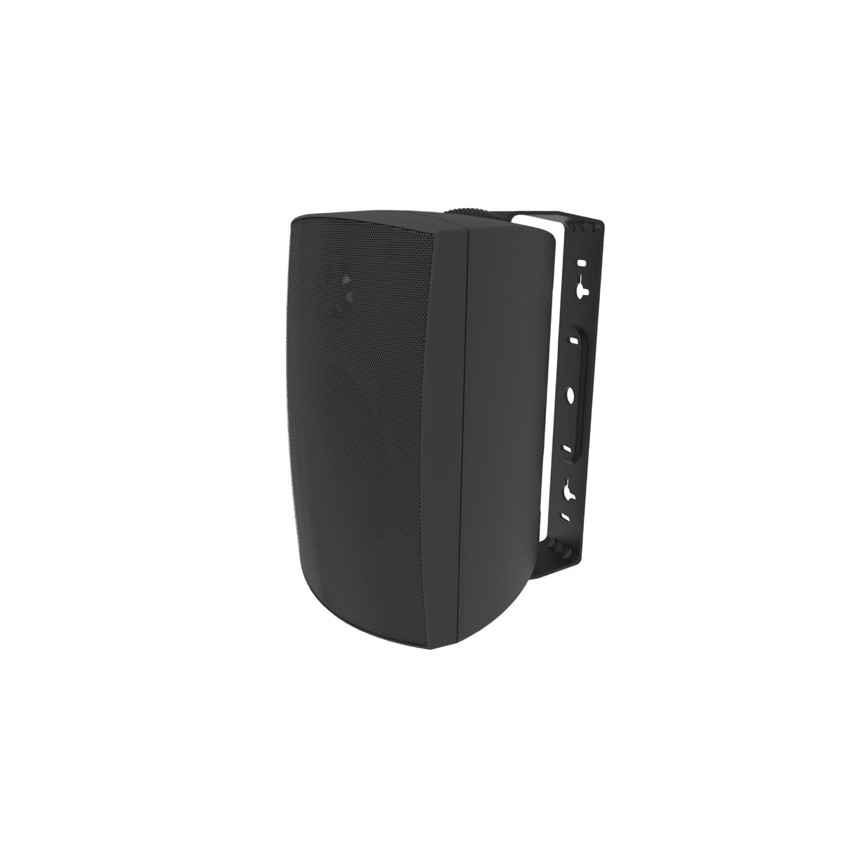 5.25in Adept Indoor/Outdoor Speakers, Pivot Twtr, 75w -Black