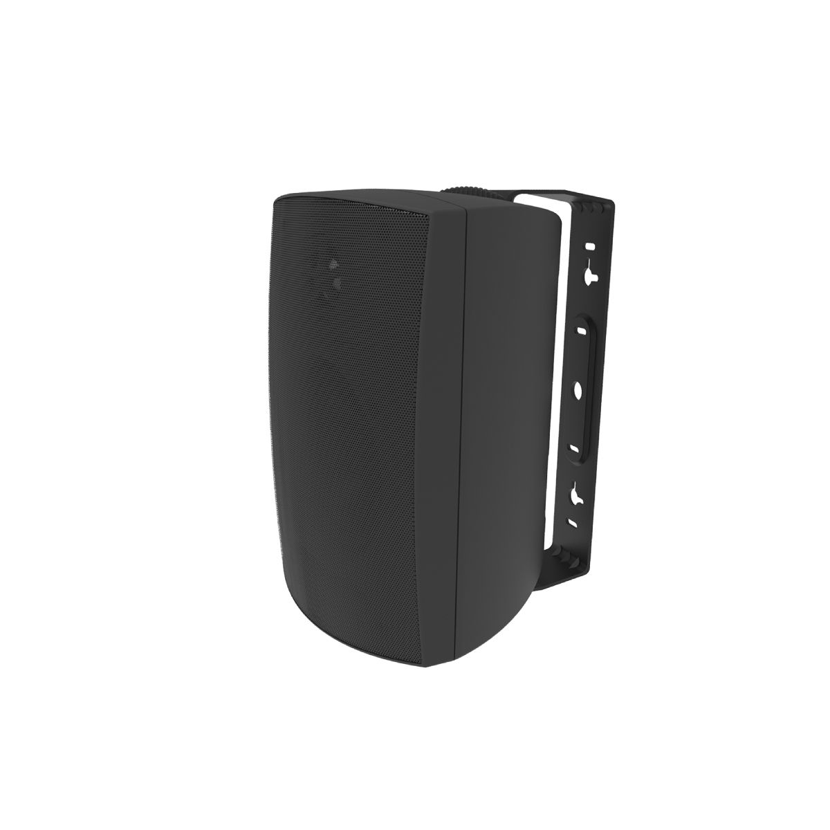 6.5in Adept Indoor/Outdoor Speakers, Pivot Twtr, 100w -Black