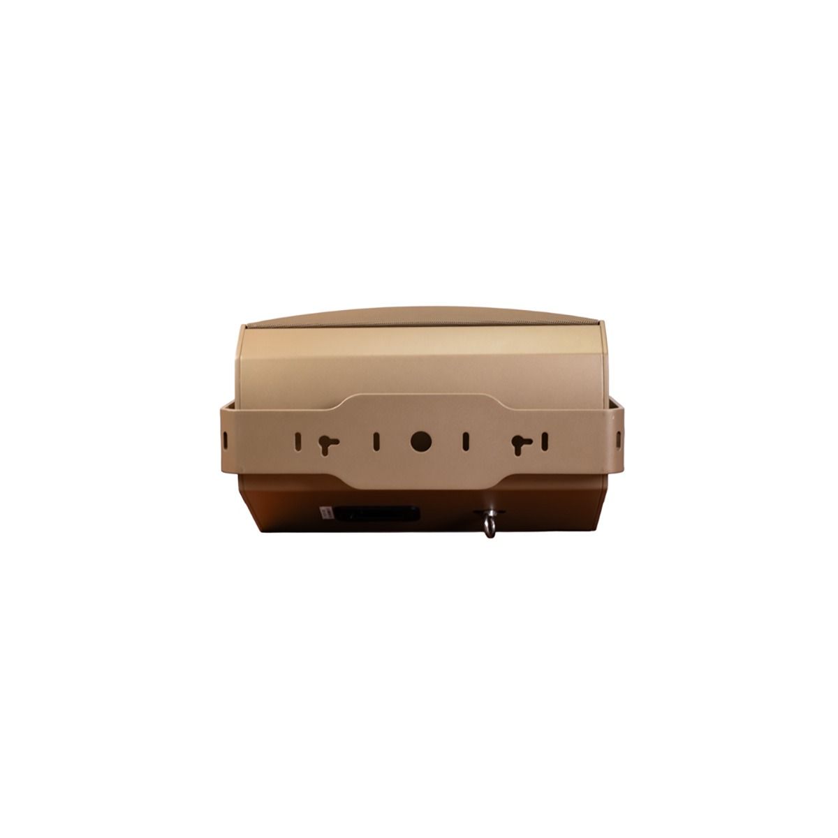 Hexagonal Surface Speaker 6.5in GF & 3in ribbon, Champagne