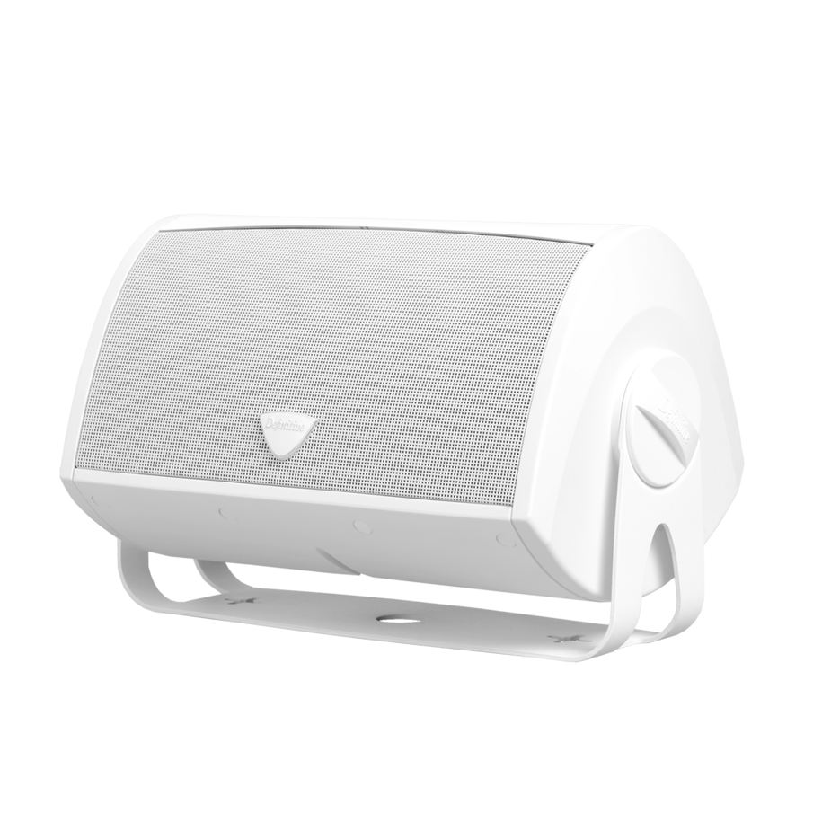 All-Weather Speaker, 5.25 in + 8 inx8 in Oval Bass Radiator