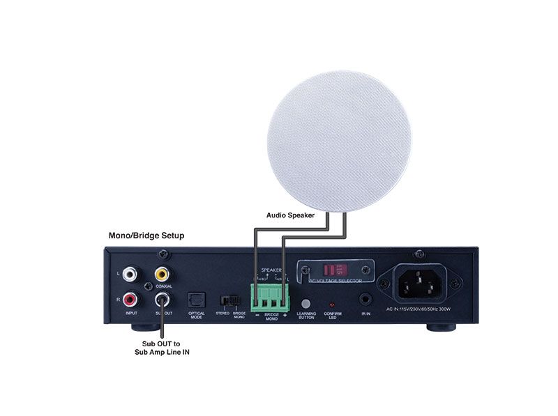 2x100W Digital Amp with Sub Out