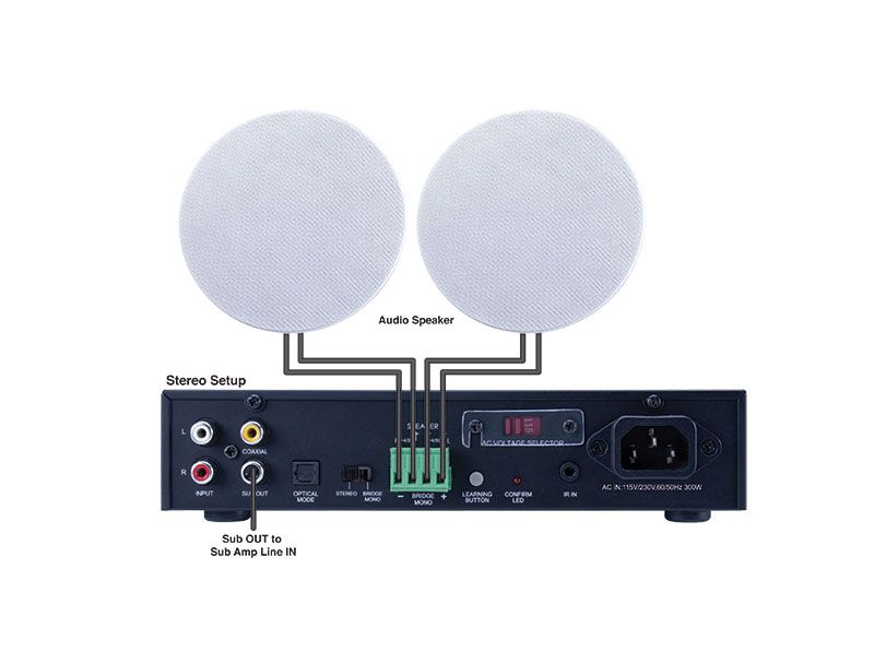 2x100W Digital Amp with Sub Out