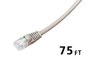 Cat 6 500 MHz Network Cables- Gray - 75ft