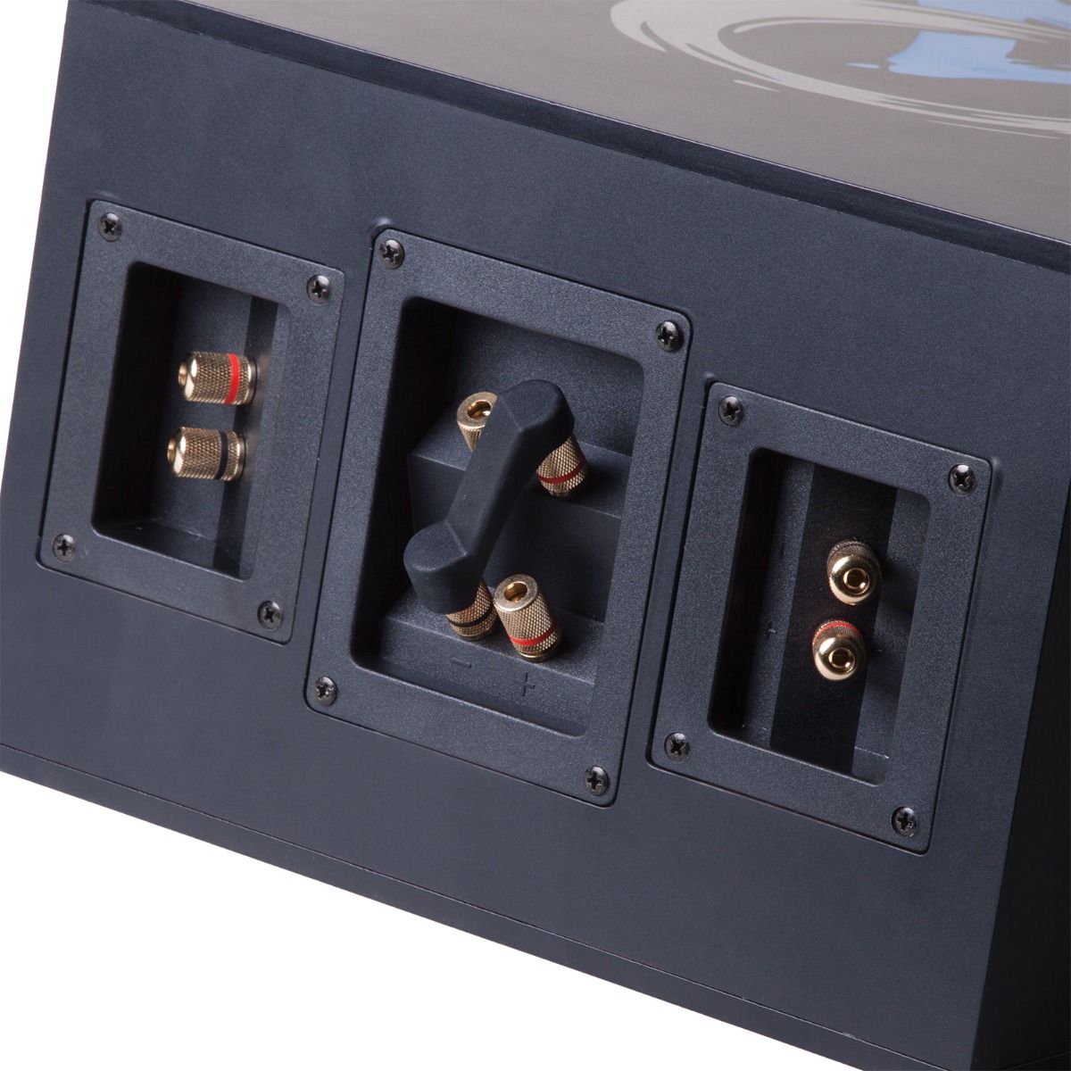 In Ceiling Dual 6in box/ 4in tube Sub, w- baffle bezel & gri