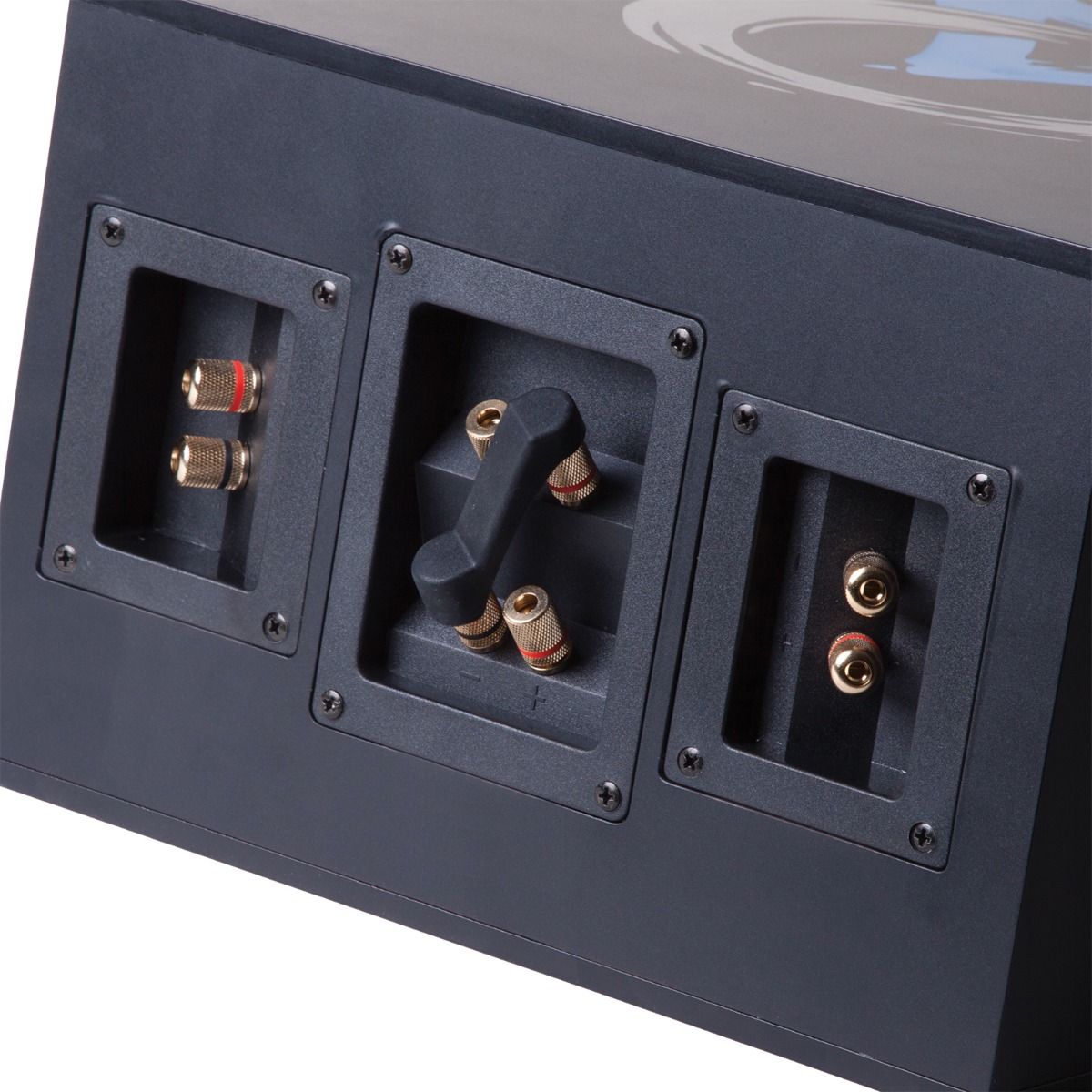 In Ceiling Dual 6in box/ 5in tube Sub, w- baffle bezel & gri